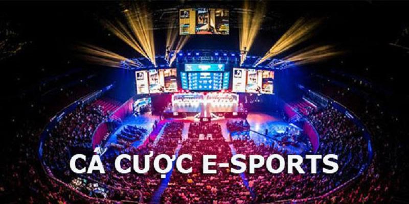 Áp dụng các chiến thuật khi cá cược Esports